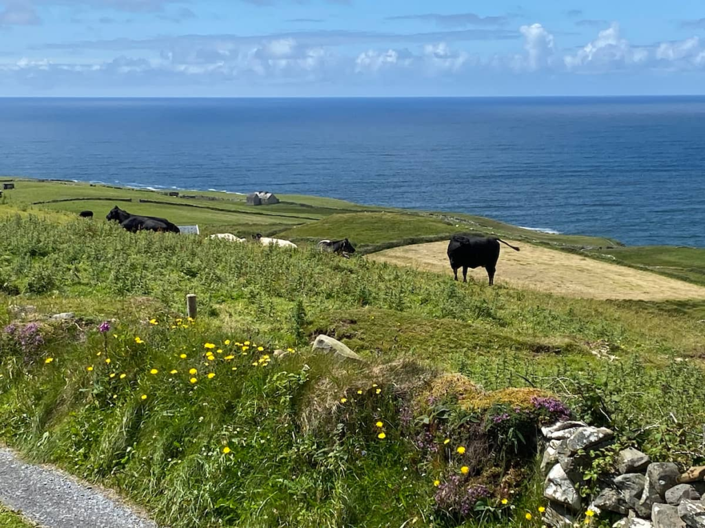 ae0fb194 7bda 4902 8572 9258c2f4884a