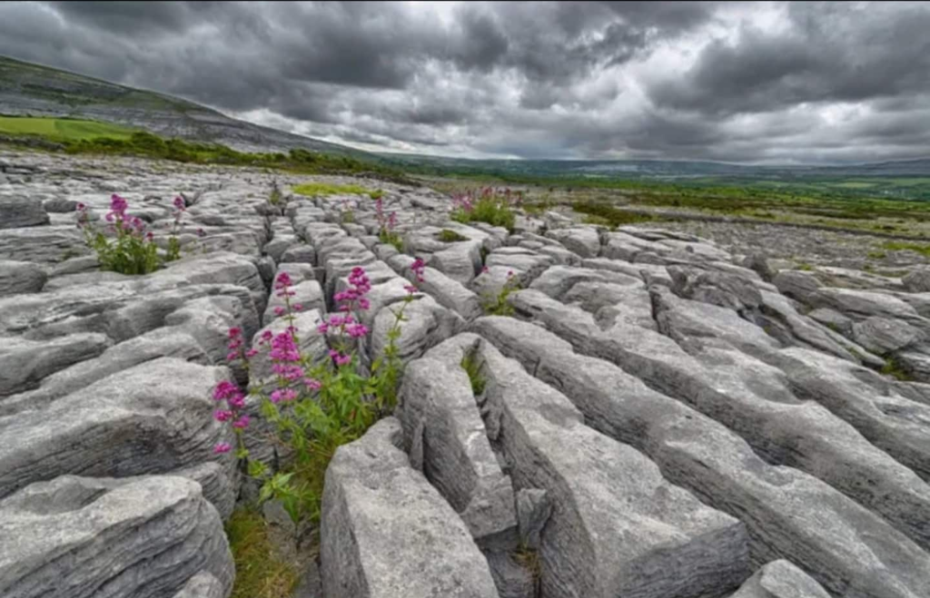 doonagorecottage (6)